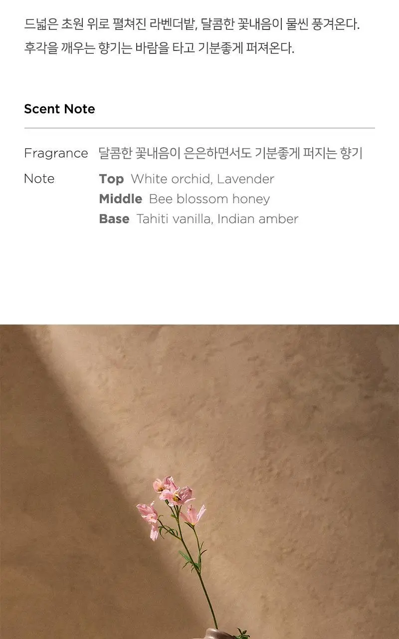 [올리브영 단독 패키지] 테일러센츠 x 광주요 매병 디퓨저 200ml 4종 택1 상세페이지 8